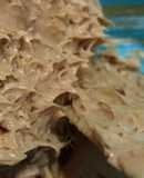 Crema para crepas