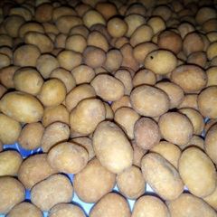 A picture of Peanuts.