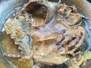 Gambar palumara ikan tongkol