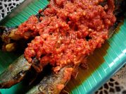 Gambar ikan keli kunyit
