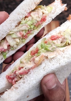 A picture of Coleslaw Sandwich 📌.