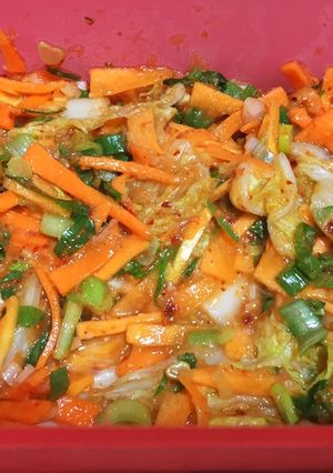 Foto resep KIMCHI ala Saya