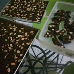 รูปของ Brownies almond cookies