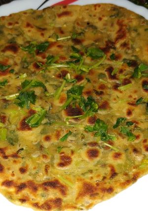 A picture of Methi paratha.