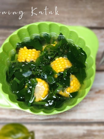 Langkah Gampang Menyiapkan Resep  Sayur Bening Katuk yang Sempurna, Menggugah Selera