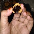 Soes kering isi coklat melelehh😍
