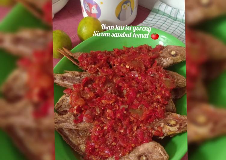 Resep Ikan kurisi goreng siram sambal tomat 🍅 Anti Gagal