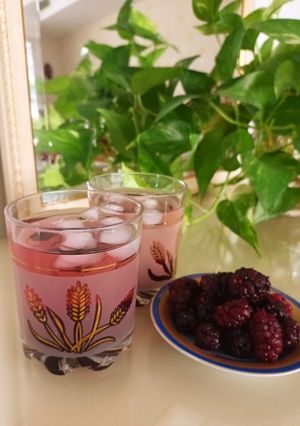 عکسی از دستور شربت شاتوت