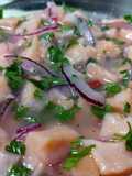 Ceviche de salmão