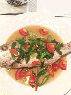 Foto resep Tim Ikan Kakap