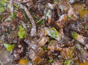 Foto de Salada de Choco grelhado