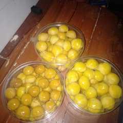 รูปของ Nastar gelowing