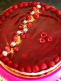 Raspberry Bavarois – A Fresh and Delicious Dessert