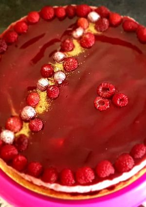 A picture of Raspberry Bavarois – A Fresh and Delicious Dessert.