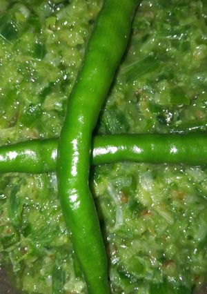 A picture of Spring Onions And Amla ki Chutney.