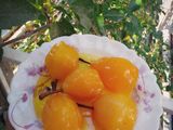 مربای گلابی