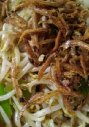 Foto resep Tumis Taoge ikan asin