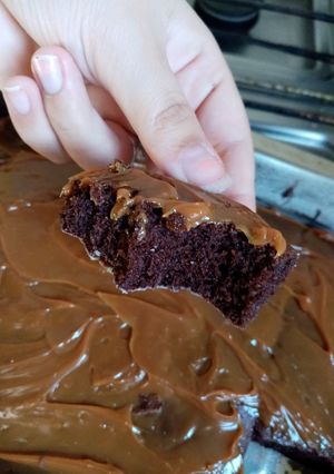 Una foto de Brownie