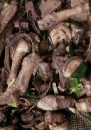 Hình của món Chim bồ câu xào 🍄.