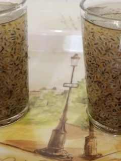 صورة لوصفة شراب بذور الريحان البلنكو
