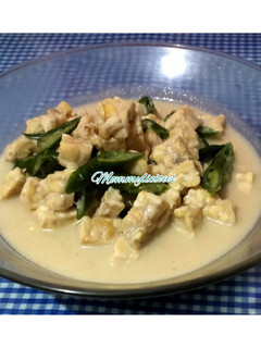 Foto resep Sayur tempe lombok ijo Mommylicious