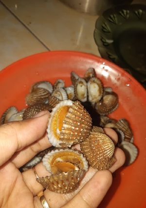 Foto resep Kerang Dara Rebus Super Simple