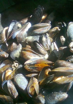 Una foto de Ravioles marinos, rellenos I