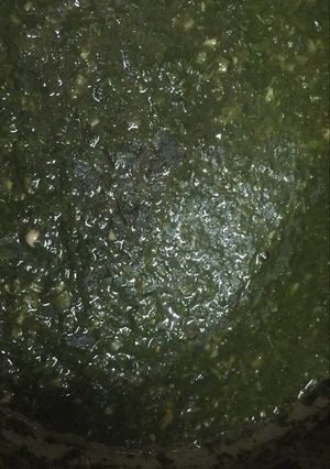صورة لوصفة ملوخيه🥗