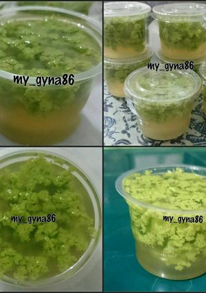 Foto resep Pudding Lumut