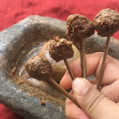 Tamarind Lollipop/ Candy A picture of Tamarind Lollipop/ Candy.