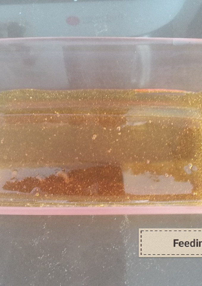 Una foto de Caramelo al #microondas