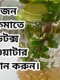 ডিটক্স ওয়াটার রেসিপি শরীরের জন্য অনেক উপকারী।