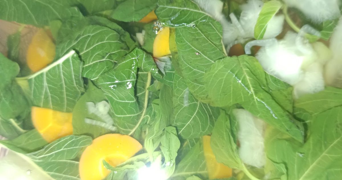 Sayur bening bayam