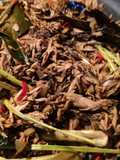 Tumis tongkol pedas