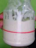 Sourdough Starter