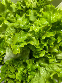 Una foto de Lechuga veraniega