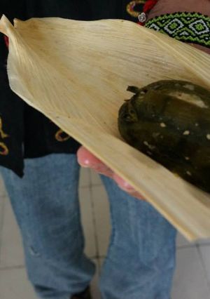 Una foto de Chile vegano prehispánico de masa negra de amaranto y huitlacoche con hongos