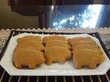 Puerquitos mexicanos