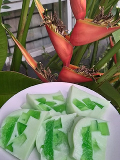 Foto resep Agar agar mozaik hijau