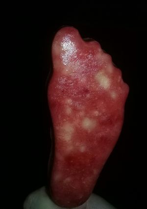 Una foto de Helado súper natural sin azúcar