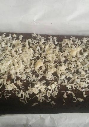 Foto resep Brownies Kukus