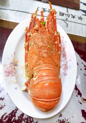 清蒸整隻龍蝦🦞 的食譜成品照片