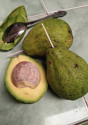 Foto resep Tips mematangkan alpukat dengan tusuk gigi
