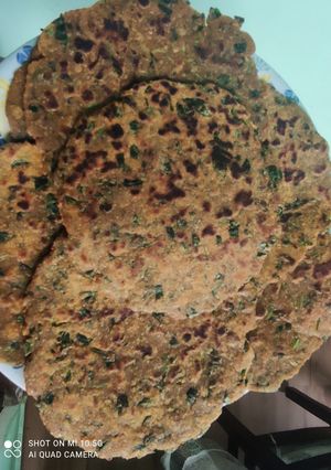 A picture of Leftover Dal Thepla.