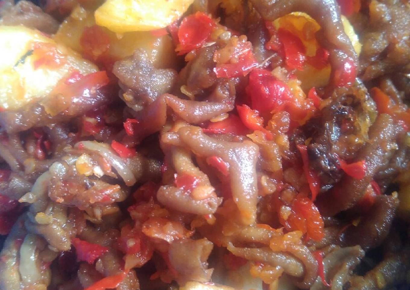 #29#Usus Ayam Kentang Balado