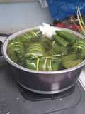 Lapat (Buras)