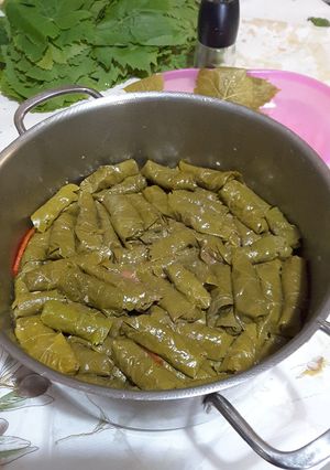 Φωτογραφία της συνταγής Ντολμαδάκια γιαλαντζί - Κρητικά!