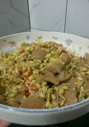 Foto resep Tumis kecambah bakso