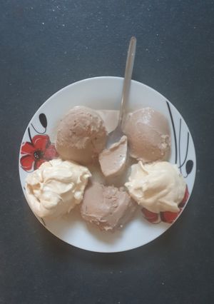 A picture of Chocolate Custard Ice-cream.
