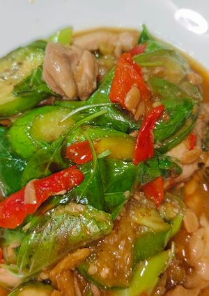 รูปของ ไก่ผัดโหระพากับมะเขือยาว